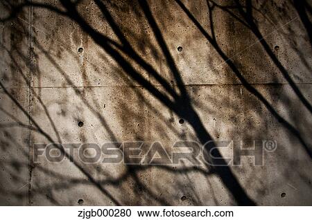 Tree shadows on concrete wall View Large Photo Image Stock Image - Tree shadows on concrete wall. Fotosearch