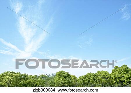 Trees and sky with clouds View Large Photo Image Picture - Trees and sky with clouds. Fotosearch