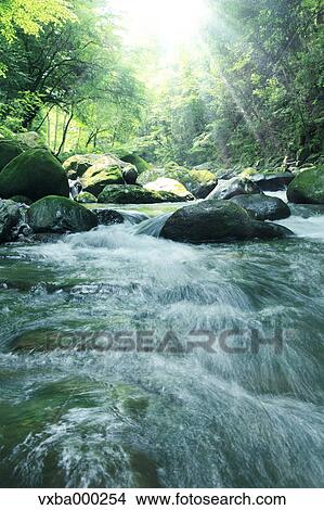 Water stream View Large Photo Image Picture - Water stream. Fotosearch