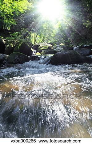 Stock Photograph - Water stream. Fotosearch