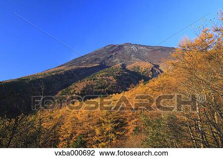 Autumn at Fujinomiya, Shizuoka Prefecture View Large Photo Image Stock Image - Autumn at Fujinomiya, Shizuoka Prefecture. Fotosearch