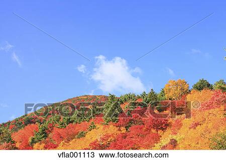 Autumn at Tengu garden, Fukushima Prefecture View Large Photo Image Stock Image - Autumn at Tengu garden, Fukushima Prefecture. Fotosearch