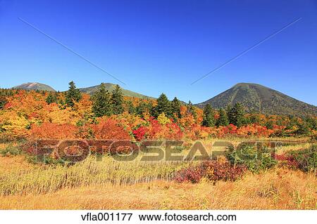 Stock Photo - Autumn in Hakkoda, Aomori Prefecture. Fotosearch
