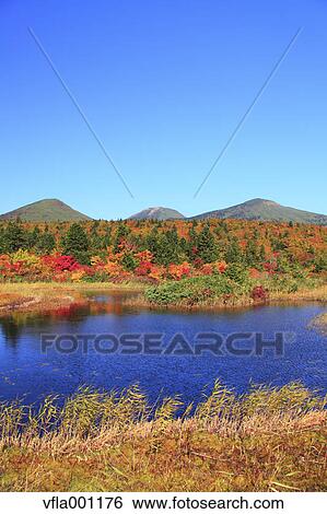 Autumn in Hakkoda, Aomori Prefecture View Large Photo Image Stock Photograph - Autumn in Hakkoda, Aomori Prefecture. Fotosearch