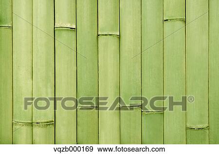 Bamboo View Large Photo Image Stock Photo - Bamboo. Fotosearch