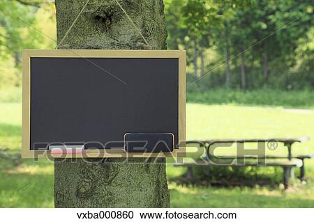 Stock Image - Blackboard hanging on a tree in the forest. Fotosearch