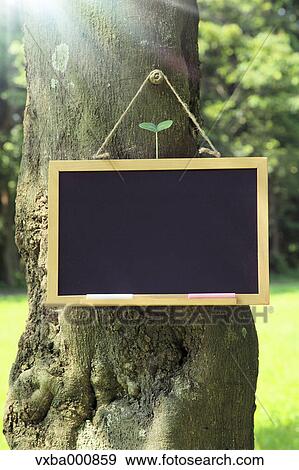 Blackboard hanging on a tree in the forest View Large Photo Image Stock Photo - Blackboard hanging on a tree in the forest. Fotosearch