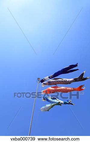 Blue sky and flying carps View Large Photo Image Stock Photo - Blue sky and flying carps. Fotosearch