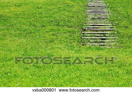 Boardwalk and grassland View Large Photo Image Stock Image - Boardwalk and grassland. Fotosearch