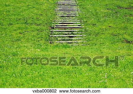 Boardwalk and grassland View Large Photo Image Stock Image - Boardwalk and grassland. Fotosearch