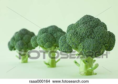 Broccoli View Large Photo Image Picture - Broccoli. Fotosearch