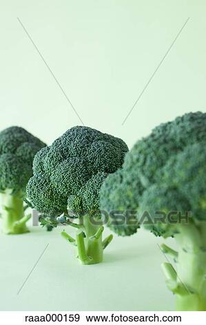 Broccoli View Large Photo Image Stock Photo - Broccoli. Fotosearch