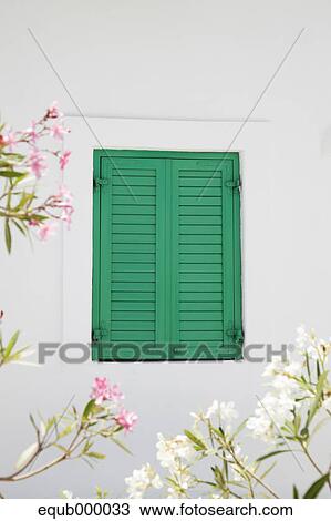 Flowers and window in Mykonos, Greece View Large Photo Image Stock Image - Flowers and window in Mykonos, Greece. Fotosearch