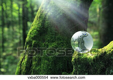 Glass sphere on a tree View Large Photo Image Picture - Glass sphere on a tree. Fotosearch