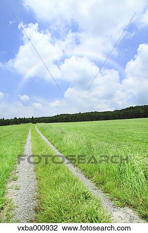 Grassland and sky with clouds View Large Photo Image Stock Image - Grassland and sky with clouds. Fotosearch