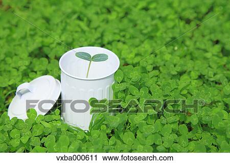 Green leaves and sprouts View Large Photo Image Stock Image - Green leaves and sprouts. Fotosearch