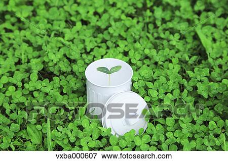 Green leaves and sprouts View Large Photo Image Stock Photo - Green leaves and sprouts. Fotosearch