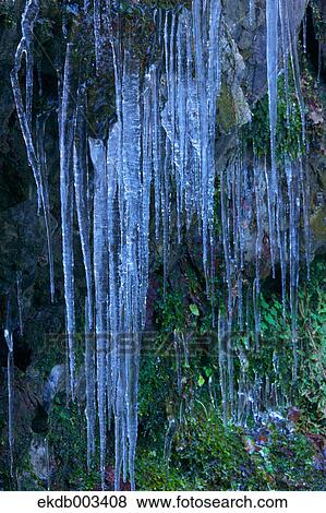 Icicles, Tokyo View Large Photo Image Stock Photo - Icicles, Tokyo. Fotosearch