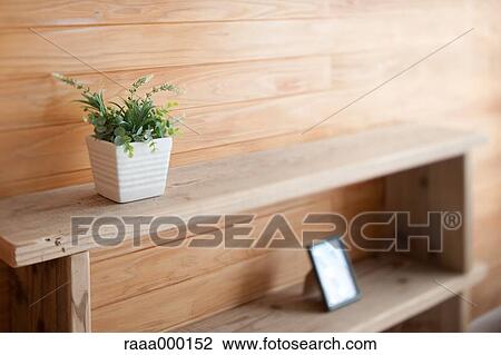 Indoor plant View Large Photo Image Stock Image - Indoor plant. Fotosearch