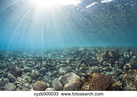 Stock Image - Light leaking underwater. Fotosearch