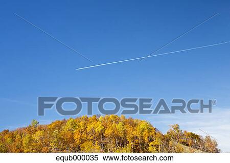 Maple trees and sky at Laurentian Plateau, Canada View Large Photo Image Stock Photography - Maple trees and sky at Laurentian Plateau, Canada. Fotosearch