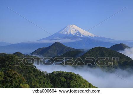 Mount Fuji and sea of clouds View Large Photo Image Picture - Mount Fuji and sea of clouds. Fotosearch