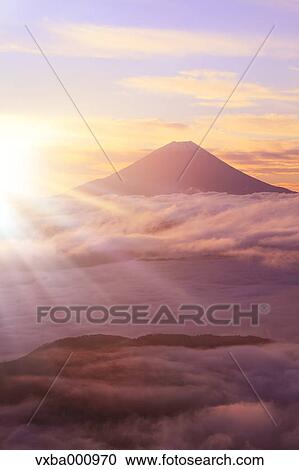 Mount Fuji and sea of clouds View Large Photo Image Stock Image - Mount Fuji and sea of clouds. Fotosearch