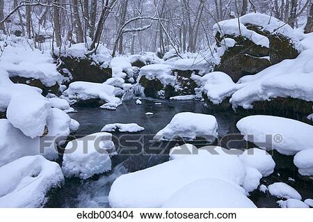 Oirase mountain stream, Aomori Prefecture View Large Photo Image Picture - Oirase mountain stream, Aomori Prefecture. Fotosearch