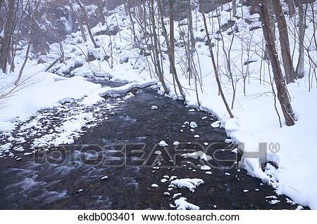 Oirase mountain stream, Aomori Prefecture View Large Photo Image Stock Image - Oirase mountain stream, Aomori Prefecture. Fotosearch