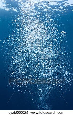Oxygen bubbles underwater View Large Photo Image Stock Photography - Oxygen bubbles underwater. Fotosearch