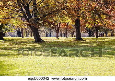 Park in Toronto, Canada View Large Photo Image Stock Image - Park in Toronto, Canada. Fotosearch