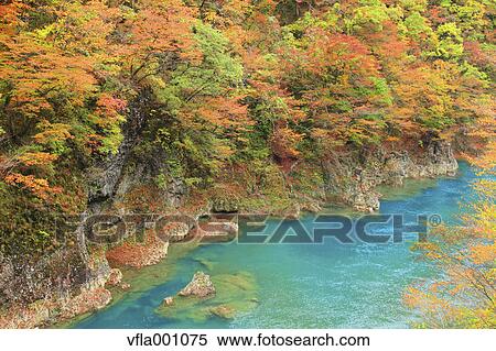 Stock Photography - River in Dakigaeri Valley, Akita Prefecture. Fotosearch