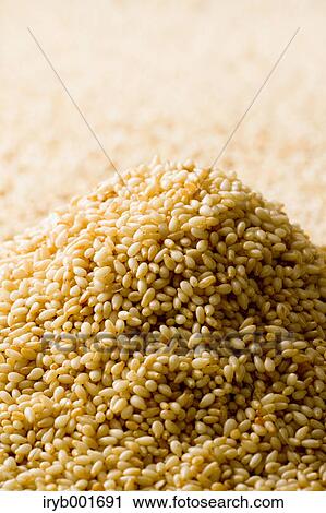 Roasted sesame seeds View Large Photo Image Stock Image - Roasted sesame seeds. Fotosearch