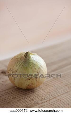 Spring onion View Large Photo Image Stock Image - Spring onion. Fotosearch