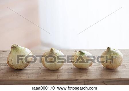 Spring onions View Large Photo Image Stock Image - Spring onions. Fotosearch
