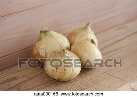 Spring onions View Large Photo Image Stock Photo - Spring onions. Fotosearch