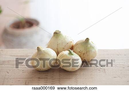 Stock Photo - Spring onions. Fotosearch