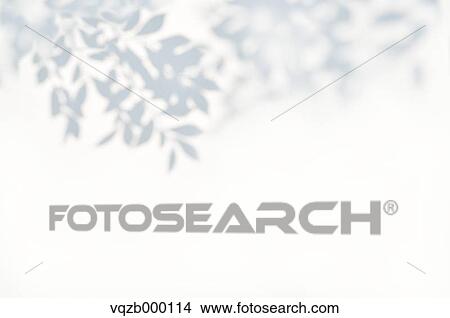 Picture - Sunshine filtering through foliage. Fotosearch