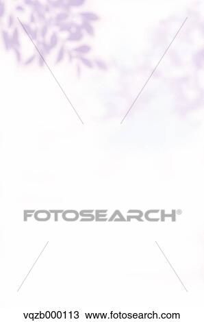 Sunshine filtering through foliage View Large Photo Image Stock Image - Sunshine filtering through foliage. Fotosearch