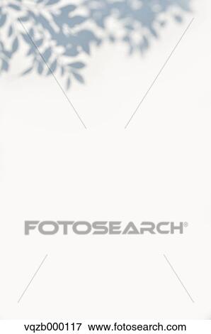 Sunshine filtering through foliage View Large Photo Image Stock Photo - Sunshine filtering through foliage. Fotosearch