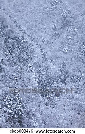 Stock Photograph - Tabayama Valley, Yamanashi Prefecture. Fotosearch
