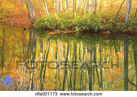 Towada in Autumn, Aomori Prefecture View Large Photo Image Stock Image - Towada in Autumn, Aomori Prefecture. Fotosearch