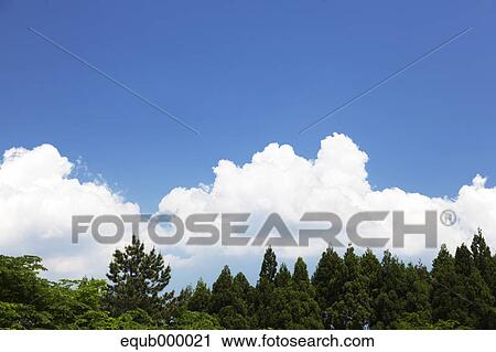 Trees and sky with clouds, Ishikawa Prefecture View Large Photo Image Stock Image - Trees and sky with clouds, Ishikawa Prefecture. Fotosearch