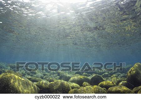 Stock Image - Underwater landscape, Asaba. Fotosearch