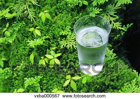 Water glass and green leaves View Large Photo Image Stock Photo - Water glass and green leaves. Fotosearch