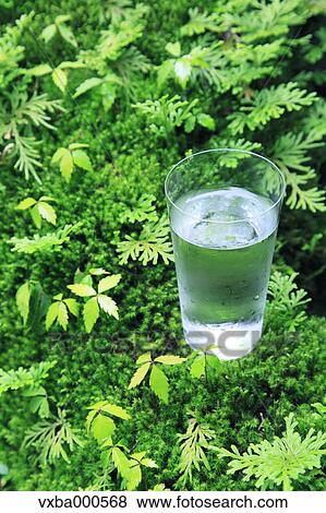 Water glass and green leaves View Large Photo Image Stock Photo - Water glass and green leaves. Fotosearch
