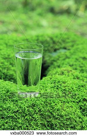 Water glass on tree stump View Large Photo Image Stock Image - Water glass on tree stump. Fotosearch