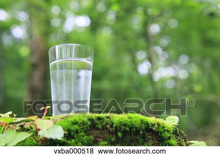 Water glass on tree stump View Large Photo Image Stock Photo - Water glass on tree stump. Fotosearch