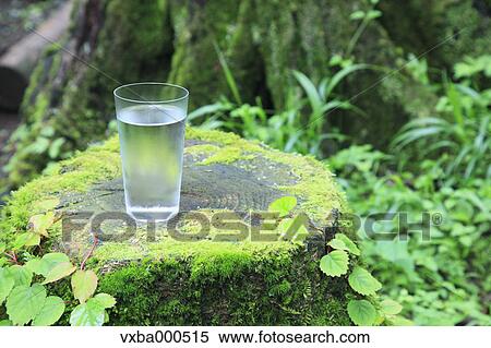 Water glass on tree stump View Large Photo Image Stock Photography - Water glass on tree stump. Fotosearch