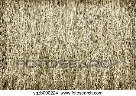 Bamboo fence View Large Photo Image Picture - Bamboo fence. Fotosearch